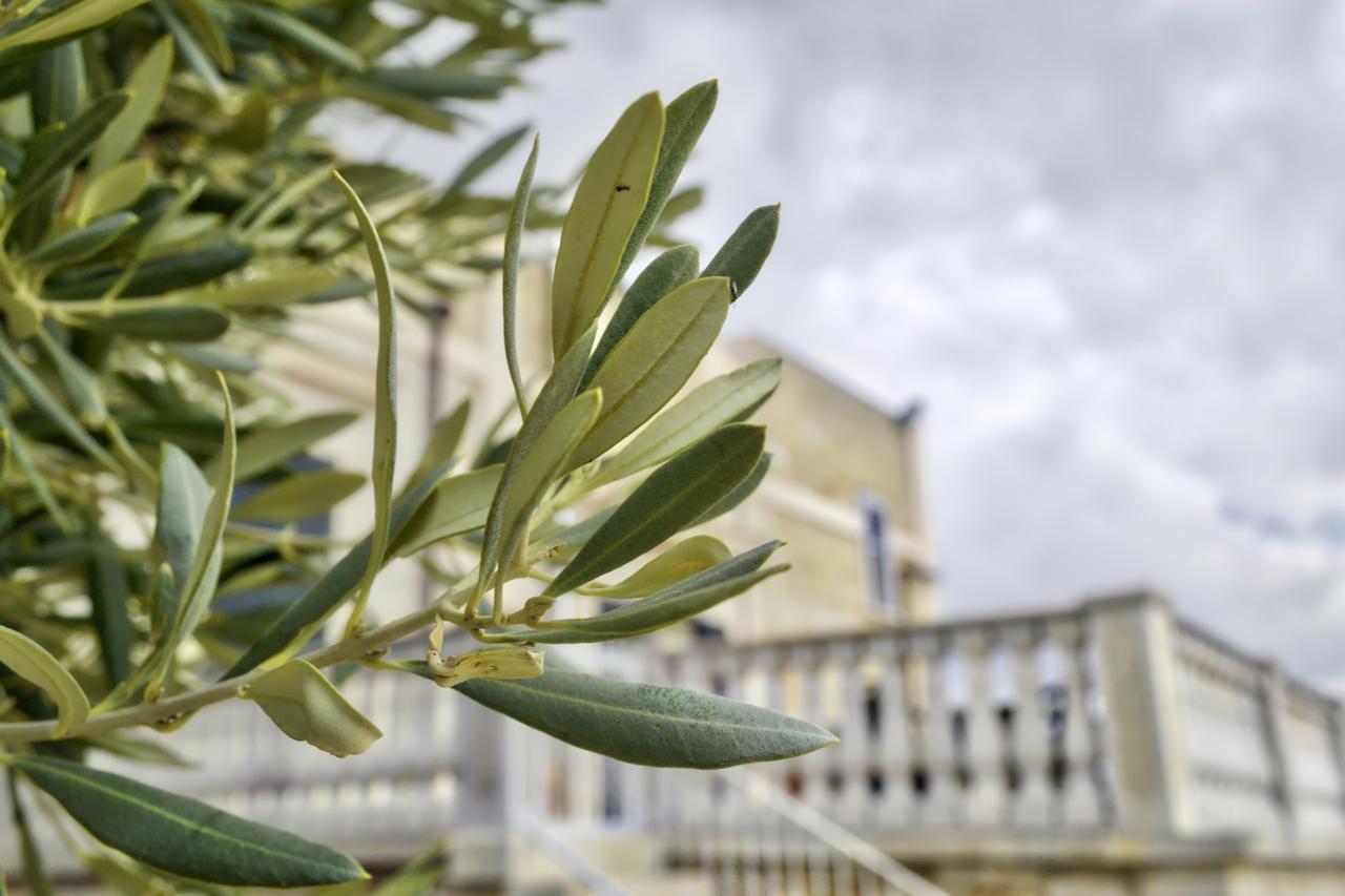 Tenuta Lama Gorga Trani Exteriér fotografie