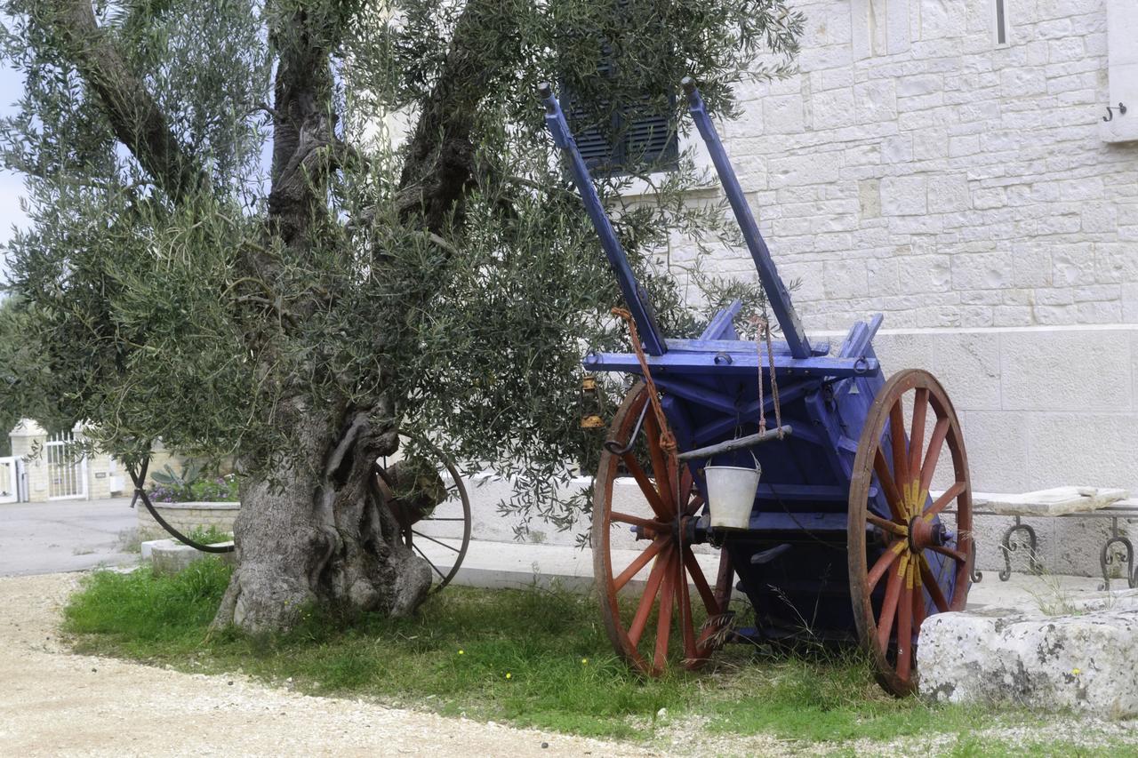 Tenuta Lama Gorga Trani Exteriér fotografie